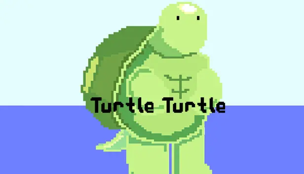 Turtle Turtle