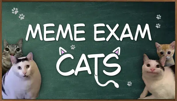 Meme Exam: Cats