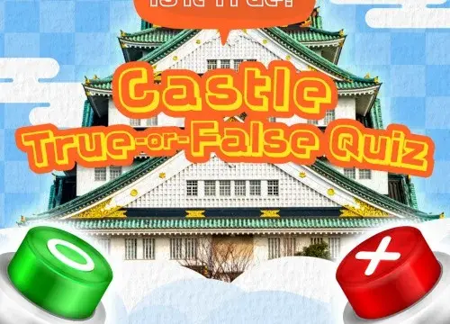 Is it True? Castle True-or-False Quiz - Switch