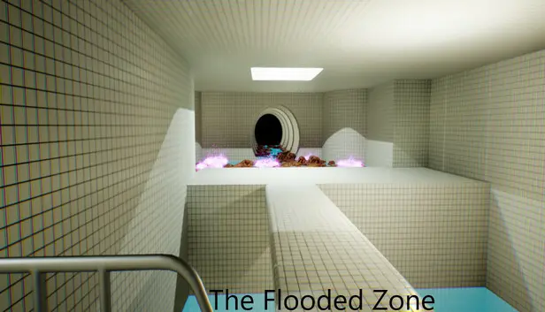 The Flooded Zone
