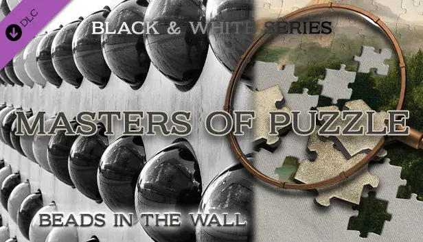 Masters of Puzzle - Black and White - Beads in the Wall