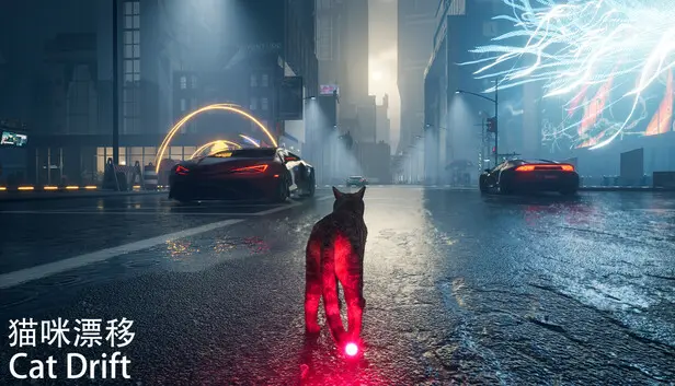 猫咪漂移 Cat Drift