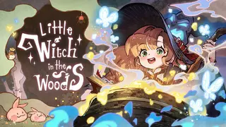 Little Witch in the Woods