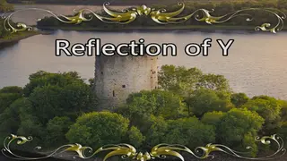 Reflection of Y