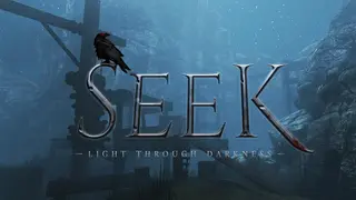 Seek: Light Through Darkness