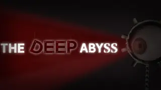 The DEEP Abyss