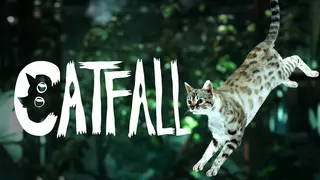 Catfall