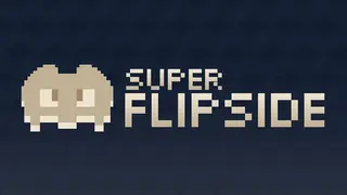 Super Flipside