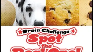 Brain Challenge Spot the Real One! - Switch