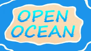 Open Ocean