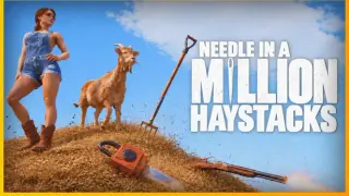 Needle in a Million Haystacks