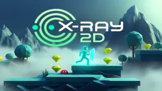 X-Ray 2D