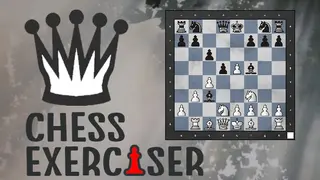 Chess Exerciser