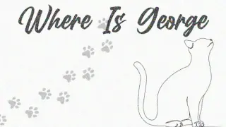 Where Is George