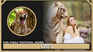 Pixel Puzzles Traditional Jigsaws Pack: Cats