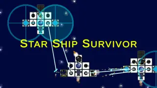 Star Ship Survivor