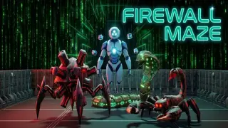 Firewall Maze