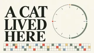 A Cat Lived Here