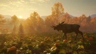 theHunter: Call of the Wild - New England Mountains - PS4