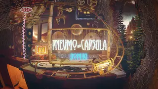 Pnevmo-Capsula: Domiki