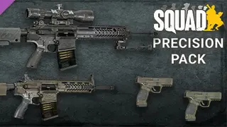 Squad Weapon Skins - Precision Strike Pack