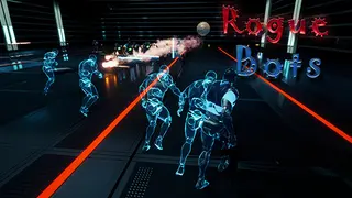 Rogue Bots