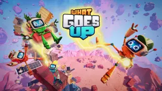 What Goes Up