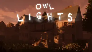Owl Lights