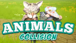 Animals Collision