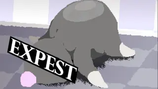 Expest