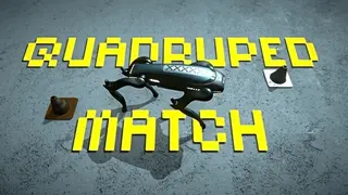 Quadruped Match