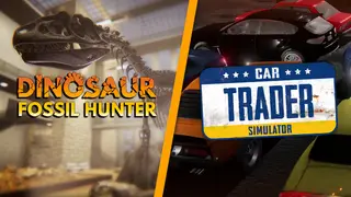 Fossil & Car Collection