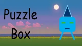 Puzzle Box