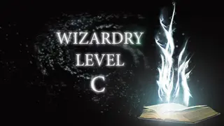 Wizardry Level C