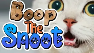Boop The Snoot