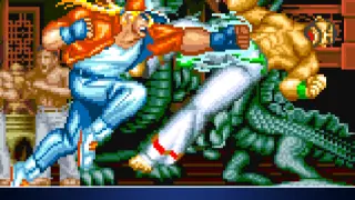 ACA NEOGEO FATAL FURY (PS4)