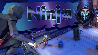 Ninja?