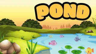 Pond