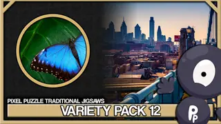 Pixel Puzzles Traditional Jigsaws Pack: Variety Pack 12