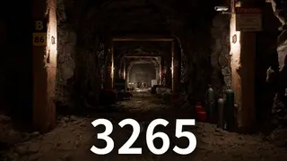 3265