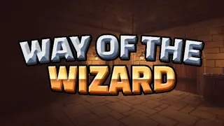 Way of the Wizard