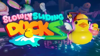 Slowly Sliding Ducks