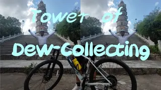 Tower of Dew-Collecting