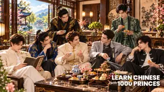 LEARN CHINESE WITH 1000 PRINCES