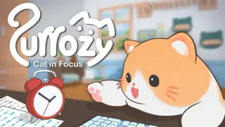 Purrozy: Cat in Focus