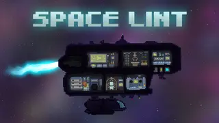 Space Lint