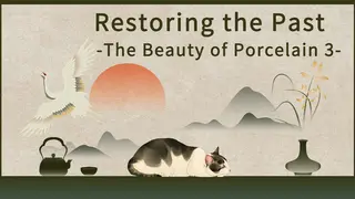 Restoring the Past - The Beauty of Porcelain 3