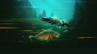 The Catch: Carp & Coarse Collector's Edition - Xbox One