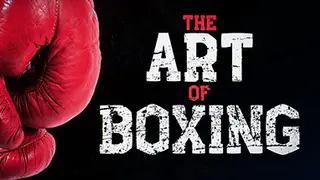 Art of Boxing
