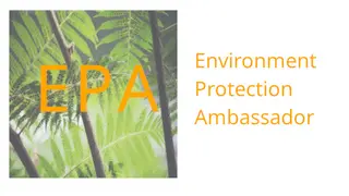 Environment Protection Ambassador